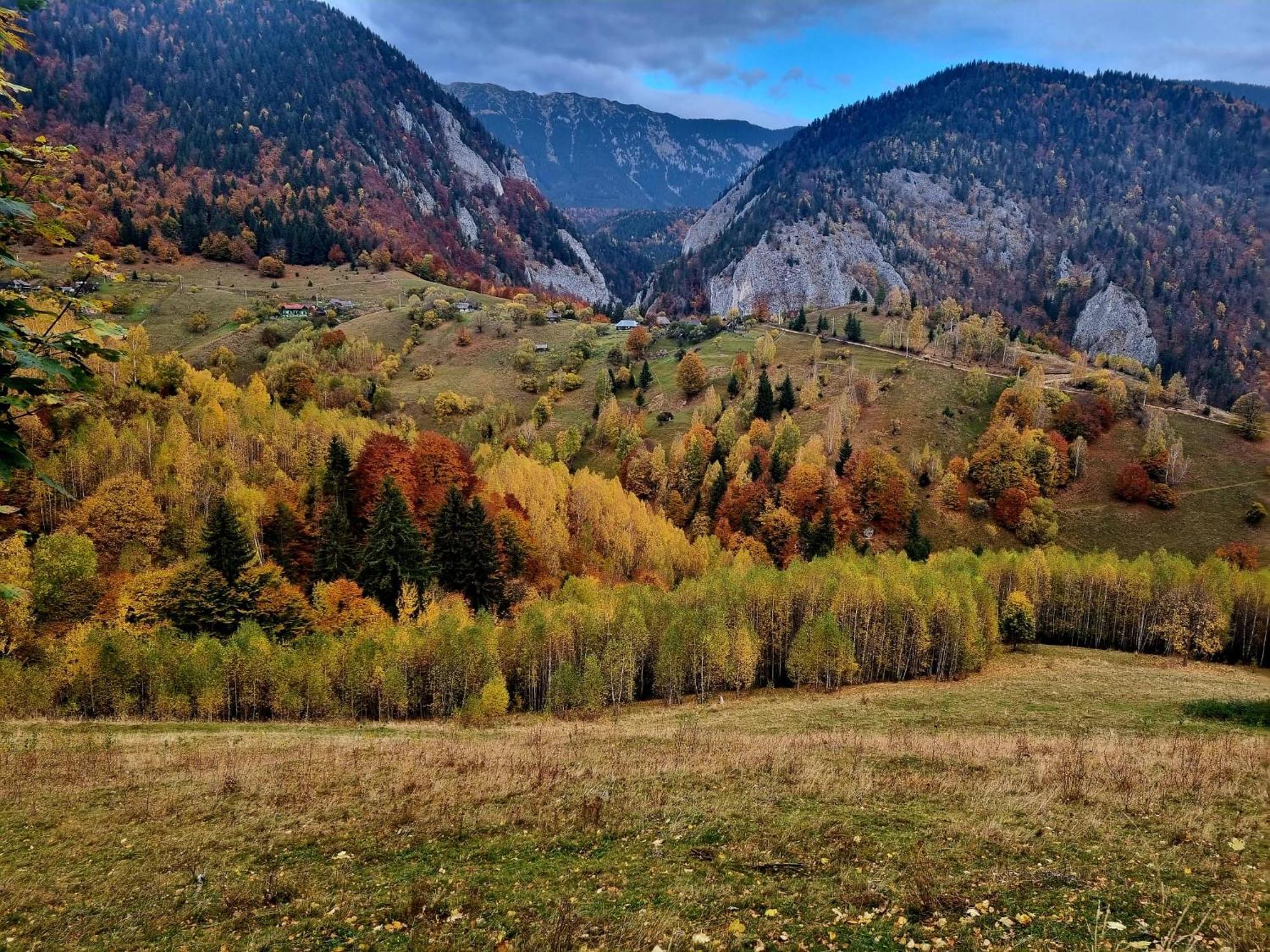 Mosorel Magura  Kültér fotó
